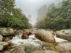 -青峰峡国家森林公园