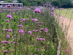 -杭州城北体育公园