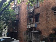 -中山大学学者灵芝(园南路店)