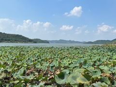 -东钱湖旅游度假区