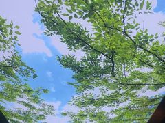 -大融厨·鸡毛店·川菜(果壳里东安湖店)