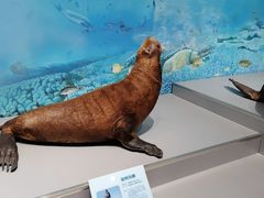 -大连自然博物馆