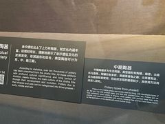 -金沙遗址博物馆