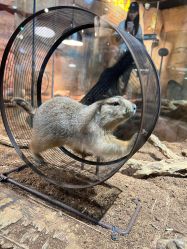 -Zoolung Zoolung动物主题公园(海信广场店)