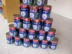 -立邦(武侯区西部专卖店)