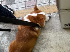 -小梁哥云吞面(黄贝岭店)