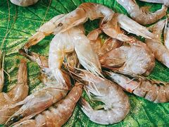 鲜虾-鑫海汇海鲜烤肉自助(北国商城店)