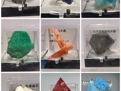 -中国地质博物馆