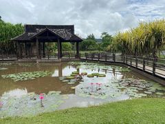 -中国科学院西双版纳热带植物园