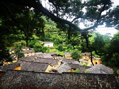 -杨家堂村
