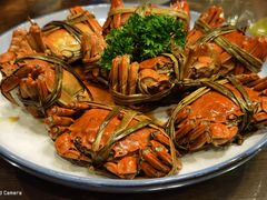 -漫渡庄绿岛花园•隐世庭园菜(滨湖店)