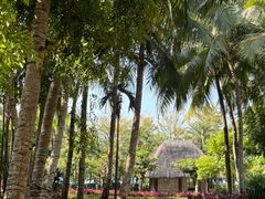 -三亚湾海居铂尔曼度假酒店