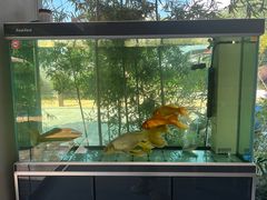 -武夷山旧街壹号溪岸旅馆(三姑度假区店)