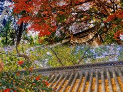 -青岛崂山太清宫