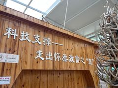 -北京鹿世界主题园