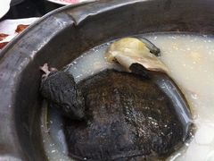 海陆空-绿色时代大酒店