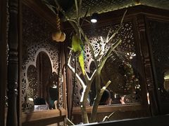 -楼兰新疆主题餐厅(苏州中心店)