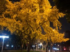 -如家酒店(上海南京路人民广场店)