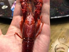 -日食记精菜馆(建邺万达店)