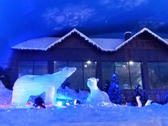 -世界之窗阿尔卑斯冰雪世界