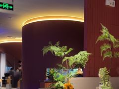 -芸山季·云南野生菌火锅(宝能环球汇店)