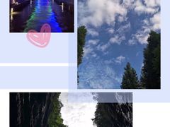 -武陵山森林公园