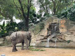 -深圳野生动物园