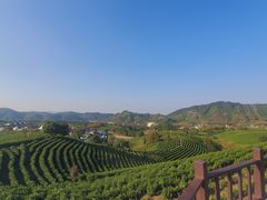 -帐篷客·溪龙茶谷度假酒店