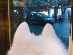 -KYO COFFEE(胶州路店)
