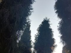 -九峰山