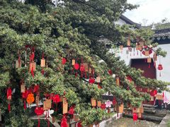 -东山雕花楼