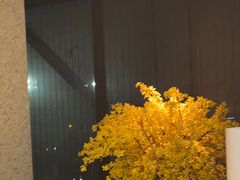-花城粤菜餐厅(高新区店)