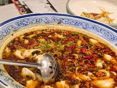 -新蜀会四川豆花(五羊店)