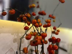 -龙源茶坊(白银路店)