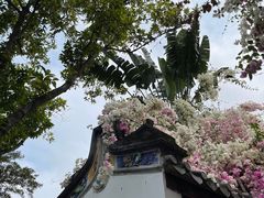 -深圳国际园林花卉博览园