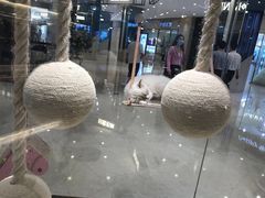 -momokira米努特·德文卷毛猫·棉花面纱犬