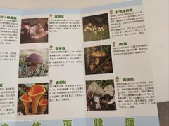 -太婆天府山珍酒楼(亚运村店)