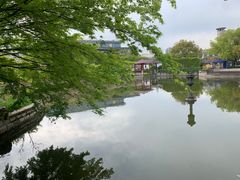 -嘉定紫藤园