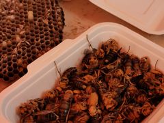 -云南木水花野生菌交易中心