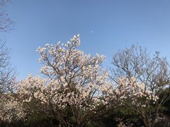 -香山公园-东宫门售票处