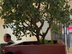 -悦海·家宴·冰花皮皮虾大锅贴(宝龙店)