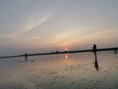 -南汇嘴观海公园