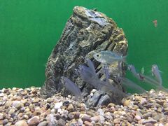 -华夏文旅西安度假区