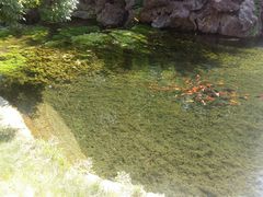 -水磨沟公园