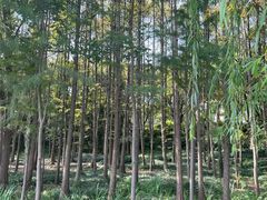 -渤公岛生态公园