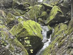 -西安祥峪森林公园