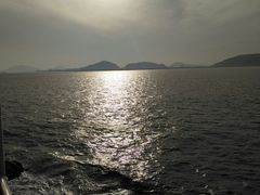 -枸杞岛