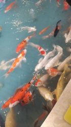 -福州儿童公园