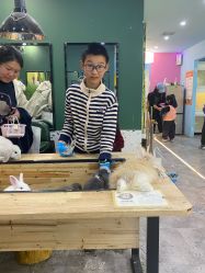 -神奇动物撸宠馆·羊驼·小浣熊·异宠(豫园店)
