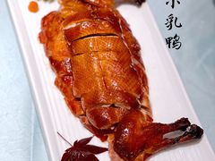 -圆苑(金茂店)